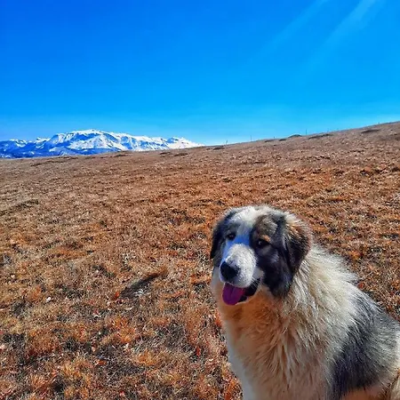 Berny 3 Sobe Apartamento